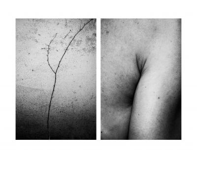 Diptych No. 1 / Fine Art  Fotografie von Fotografin Alicja Brodowicz ★24 | STRKNG