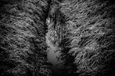 ... / Natur  Fotografie von Fotografin Alicja Brodowicz ★25 | STRKNG