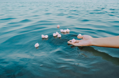 'pink roses for the dreams that defied all understanding' / Conceptual  photography by Photographer Alnilam- Claudia Prontera | STRKNG