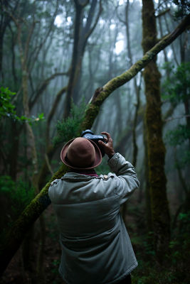 The forest / Portrait  photography by Photographer Carlos Odeh ★7 | STRKNG