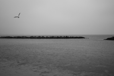 fly to the next. / Wasserlandschaften  Fotografie von Fotograf jonas kuhlemann | STRKNG