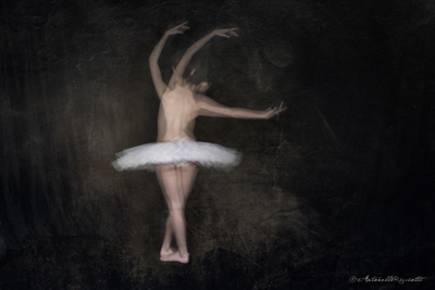 la ballerina / Fine Art  Fotografie von Fotografin antonellaricciotti ★2 | STRKNG