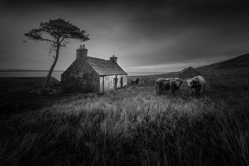 Matured - &copy; Lee Acaster | Landscapes