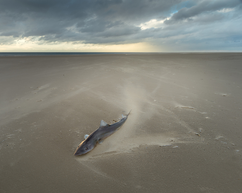 Oxygen - &copy; Lee Acaster | Landscapes