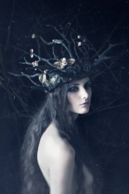 Tree Crown / Fine Art  Fotografie von Designer/&shy;Marke Angélini Candice ★24 | STRKNG