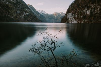 Little tree / Waterscapes  photography by Photographer Mr. B ★1 | STRKNG