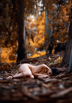Sensazione I / Nude  photography by Photographer Alexander Anthony | STRKNG