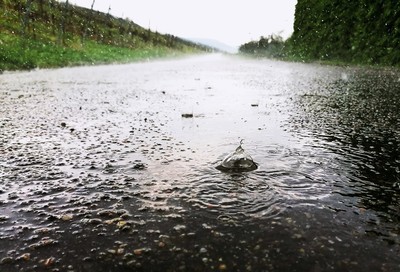 rain in may / Natur  Fotografie von Fotografin Monika Keller ★10 | STRKNG