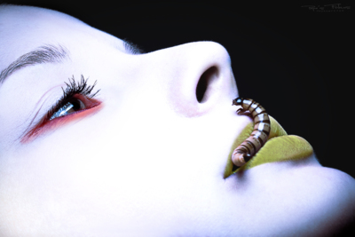 Zophobas morio / Abstrakt  Fotografie von Fotograf Pepe Recknagel ★1 | STRKNG