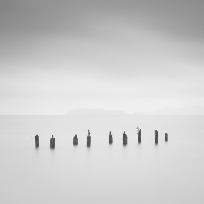 Life on Remnants / Schwarz-weiss  Fotografie von Fotograf Thomas Leong ★1 | STRKNG