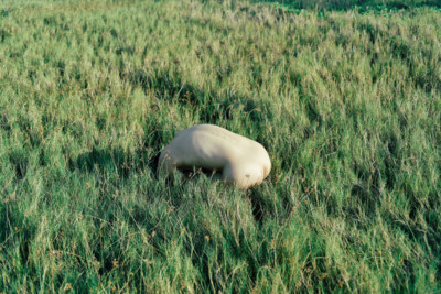 Grassing. / Nude  photography by Photographer PJ Wang ★3 | STRKNG