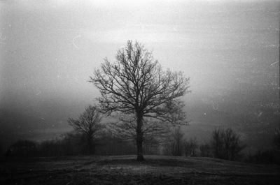 Lone / Landscapes  Fotografie von Fotograf Maicol Testi | STRKNG