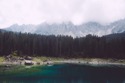 &quot;Non è più inverno per noi.&quot; / Natur  Fotografie von Fotograf Maicol Testi | STRKNG