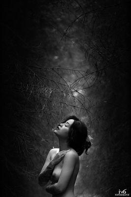 The Wood / Nude  photography by Photographer Ivo Fotografie ★4 | STRKNG
