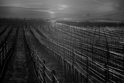 Auslese / Landscapes  photography by Photographer Walter | STRKNG