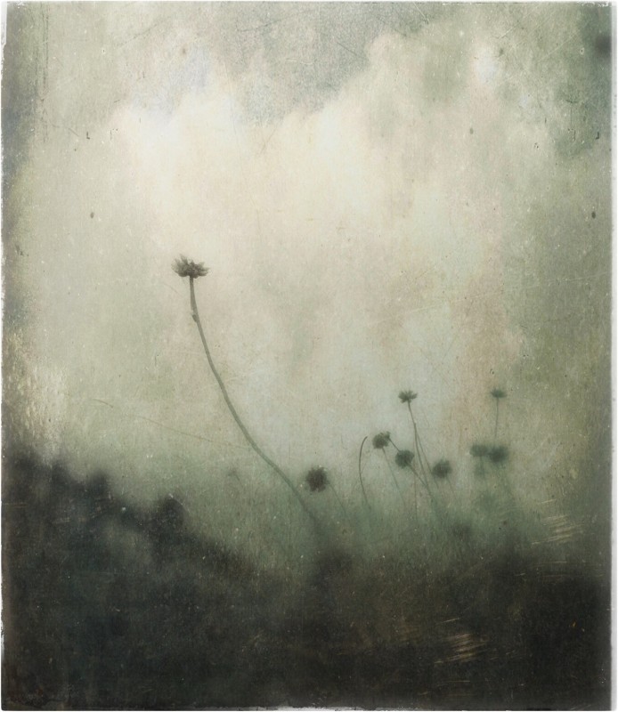 Mists on the brooghs - &copy; mark kinrade | Landscapes