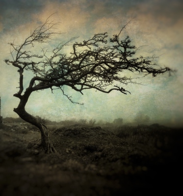 Yn Arreyder (The Watcher) / Landscapes  photography by Photographer mark kinrade ★11 | STRKNG