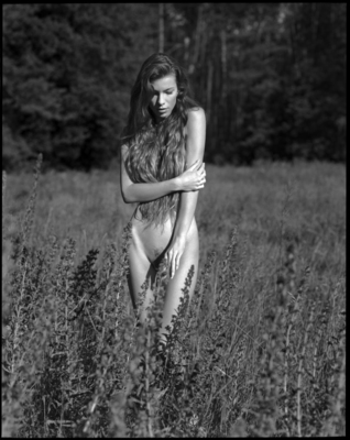 Nymph / Nude  Fotografie von Fotograf Norbert Sokolowski ★3 | STRKNG