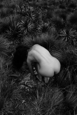Páramo / Nude  photography by Photographer AlejoVega ★1 | STRKNG