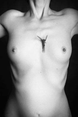 Arbeh / Fine Art  Fotografie von Fotograf André Leischner ★37 | STRKNG