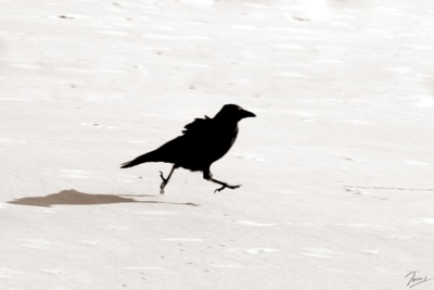 hurry up / Fine Art  Fotografie von Fotograf Blauer Klaus | STRKNG