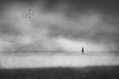 krajinou III / Schwarz-weiss  Fotografie von Fotograf David Broz ★2 | STRKNG