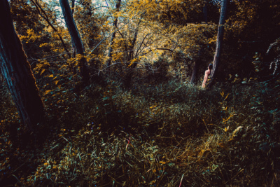 SAUVAGE / Natur  Fotografie von Fotograf Unknown ★1 | STRKNG