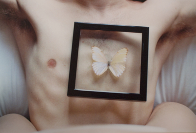 Butterfly on him / Menschen  Fotografie von Fotografin Sara Lorusso ★2 | STRKNG