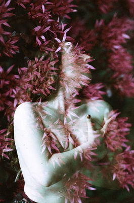 Double exposure on film / 2025-06-28 Double exposure on film / Alternative Process photography by Photographer Astrid Susanna Schulz ★50 | STRKNG