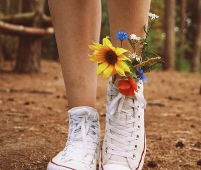 On a bed of flowers / Natur  Fotografie von Fotografin wildwoodssoul ★4 | STRKNG