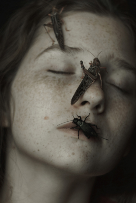 Even if this silence is unseen / Fine Art  photography by Photographer Daria Amaranth ★1 | STRKNG