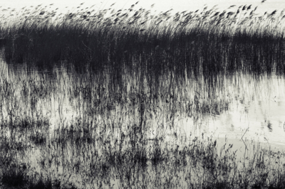 lake / Landscapes  photography by Photographer Martin van Wijngaarden ★1 | STRKNG