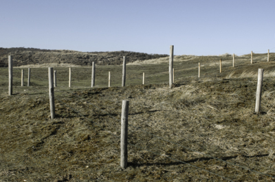 coast II / Landscapes  Fotografie von Fotograf Martin van Wijngaarden ★1 | STRKNG