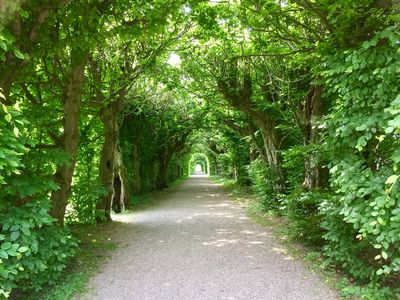 Park von Schloß Seehof, Memmelsdorf / Natur  Fotografie von Fotograf apho66 ★1 | STRKNG