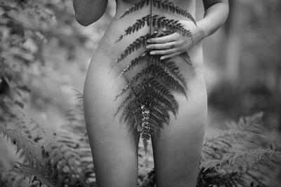 farn / Nude  Fotografie von Fotograf Monty Erselius ★17 | STRKNG