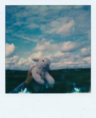 untitled / Instant-Film  Fotografie von Fotografin Lilelu ★7 | STRKNG