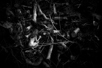 Holz / Nude  Fotografie von Fotograf papadoxx-fotografie ★3 | STRKNG