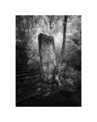 Calakmul Stela / Abandoned places  photography by Photographer Sandra Herber ★4 | STRKNG