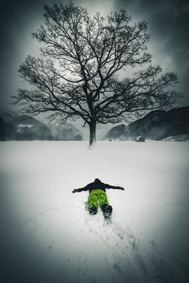 The Tree / Portrait  Fotografie von Fotograf raimundl79 ★2 | STRKNG