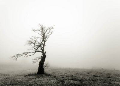 Tristesse / Fine Art  Fotografie von Fotograf LICHTundNICHT ★15 | STRKNG