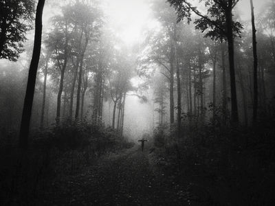 Of Blackbirds And Ghosts / Mood  photography by Photographer Philomena Famulok ★46 | STRKNG