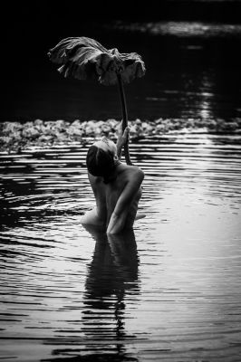 Sonnnschirm / Nude  Fotografie von Fotograf Grozdan Milovic ★2 | STRKNG