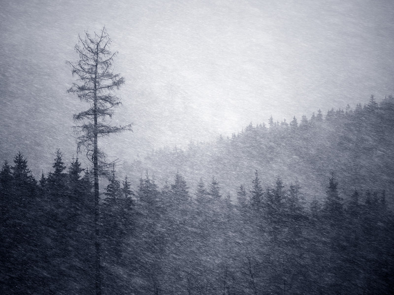 Blizzard - &copy; Stephan Amm | Landscapes