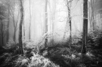 Magic / Landscapes  Fotografie von Fotograf Stephan Amm ★5 | STRKNG