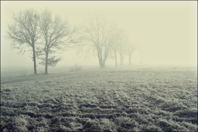 winter trees / Landscapes  Fotografie von Fotograf Sven Siehl | STRKNG