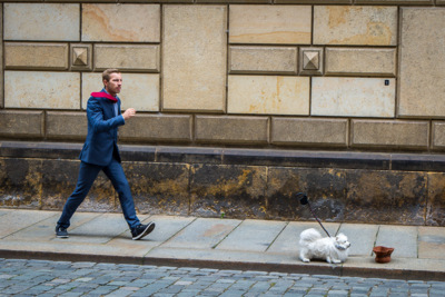 Dresden, fastest dog / Street  photography by Photographer michas pics | STRKNG