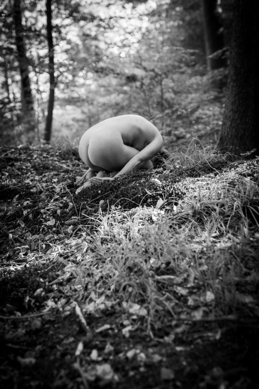 Nude in the Woods - &copy; Alex Fremer | Nude