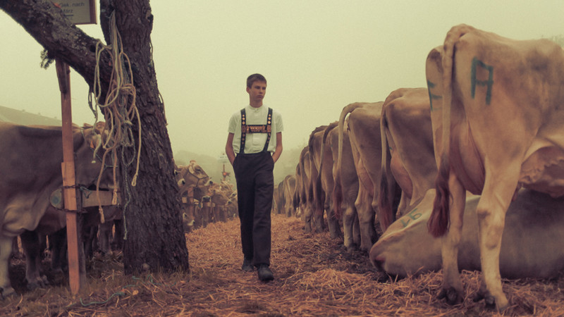 beef watcher - &copy; photörhead.ch | Photojournalism