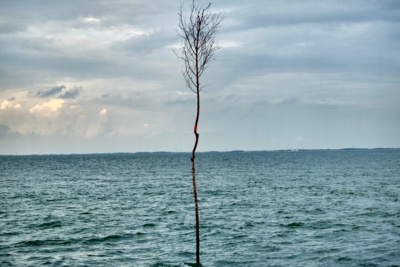 See / Natur  Fotografie von Fotografin Lisbeth Josef ★1 | STRKNG