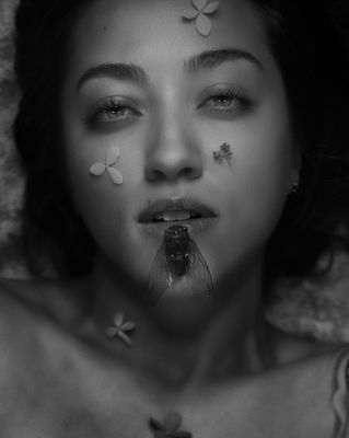 Sacred Nocturne / Portrait  Fotografie von Fotograf Rob Linsalata ★10 | STRKNG